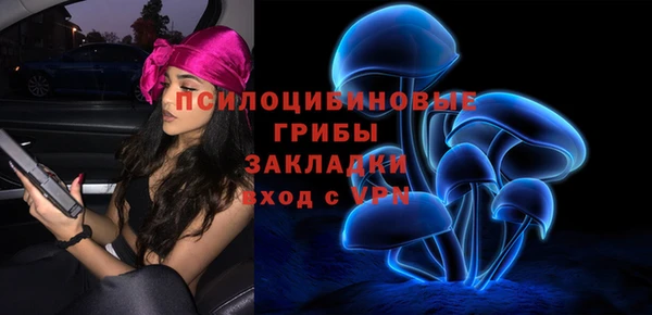 крисы Волоколамск